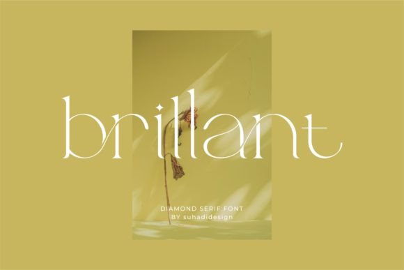 Brillant: A Modern Serif Font for Web Design