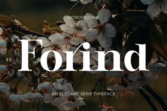 Forind: The Elegant Serif Typeface for Campaigns